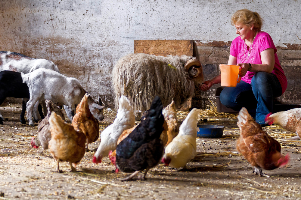 Christin Behrens hat auch Hühner und Ziegen auf ihrem Tiergnadenhof