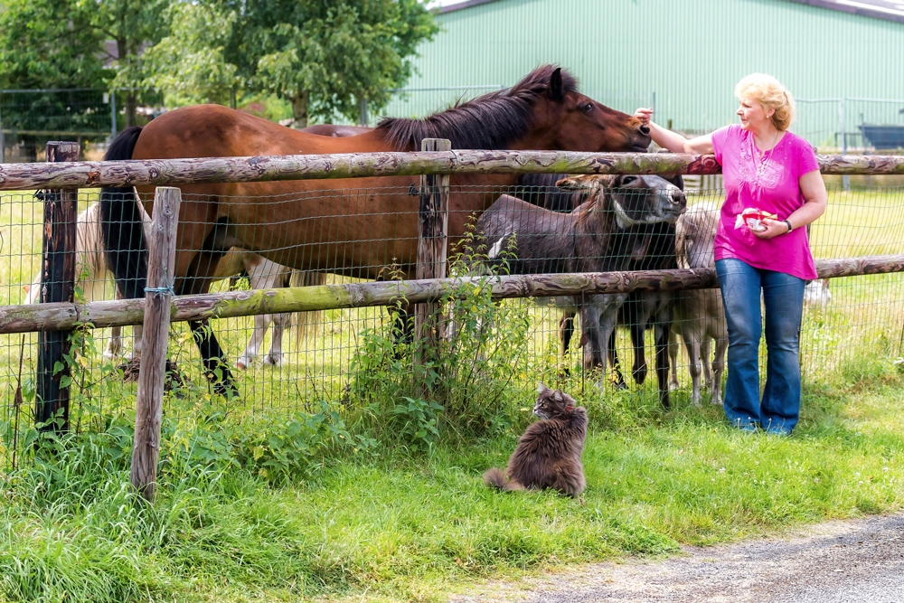 ZiegenEsel Und Pferde Leben Auch Auf Dem Tiergnadenhof Von Christin Behrens2